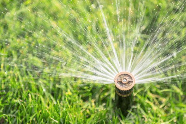 Cost of Spigot Installation in Los Angeles