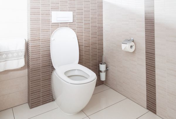 Toilet Remodeling